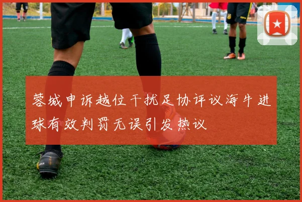 蓉城申诉越位干扰足协评议海牛进球有效判罚无误引发热议