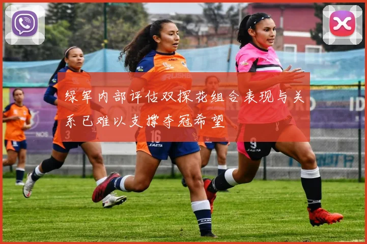 绿军内部评估双探花组合表现与关系已难以支撑夺冠希望