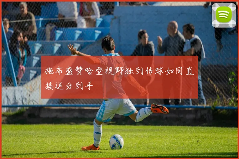拖布盛赞哈登视野独到传球如同直接送分到手