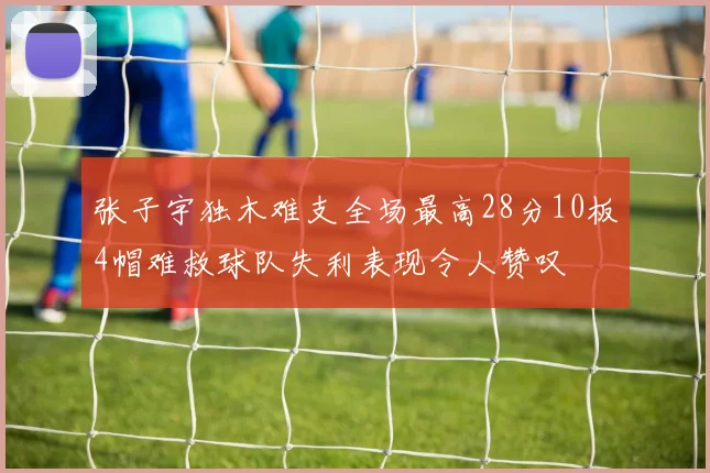 张子宇独木难支全场最高28分10板4帽难救球队失利表现令人赞叹